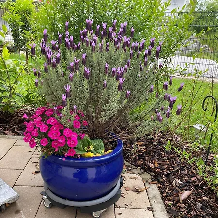 Mit Salzachblick Apartman